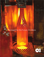 2009 Annual Report Cover